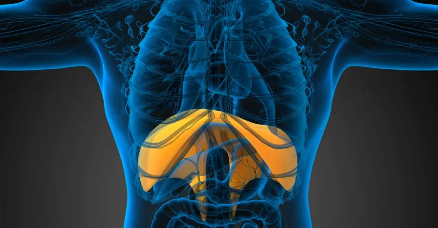 Come fermare il singhiozzo: cinque rimedi per curarlo