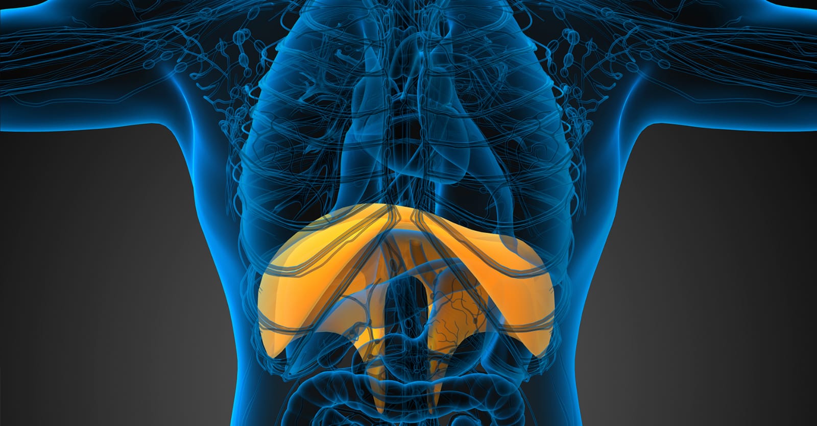 Come fermare il singhiozzo: cinque rimedi per curarlo