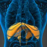 Come fermare il singhiozzo: cinque rimedi per curarlo